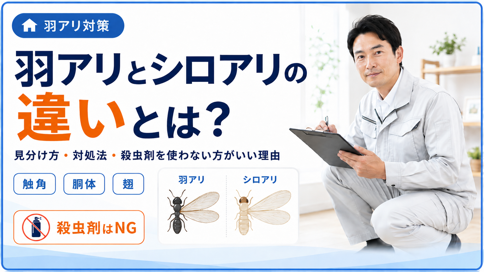羽アリとシロアリの違いとは？ 見分け方・対処法・殺虫剤を使わない方がいい理由